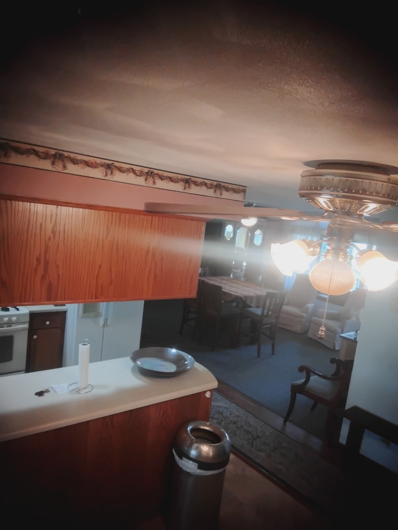 503 North Walnut Street Delavan, IL 61734 - Photo 17 of 32