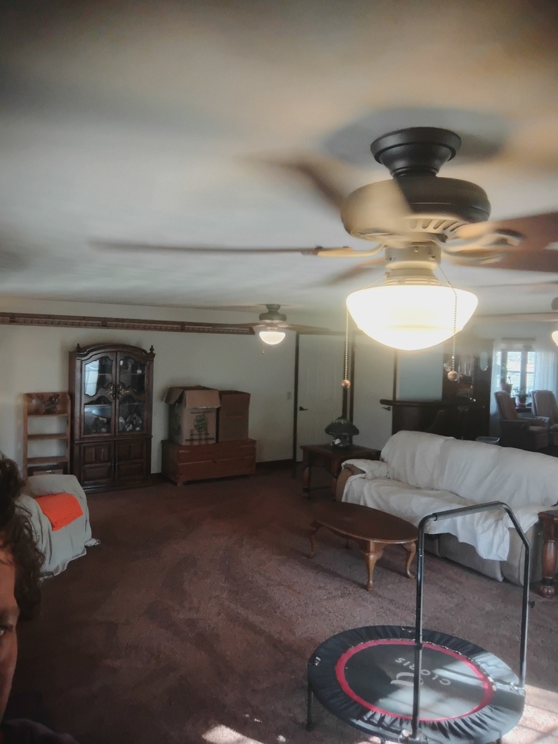 503 North Walnut Street Delavan, IL 61734 - Photo 21 of 32 a living room with furniture and a fireplace