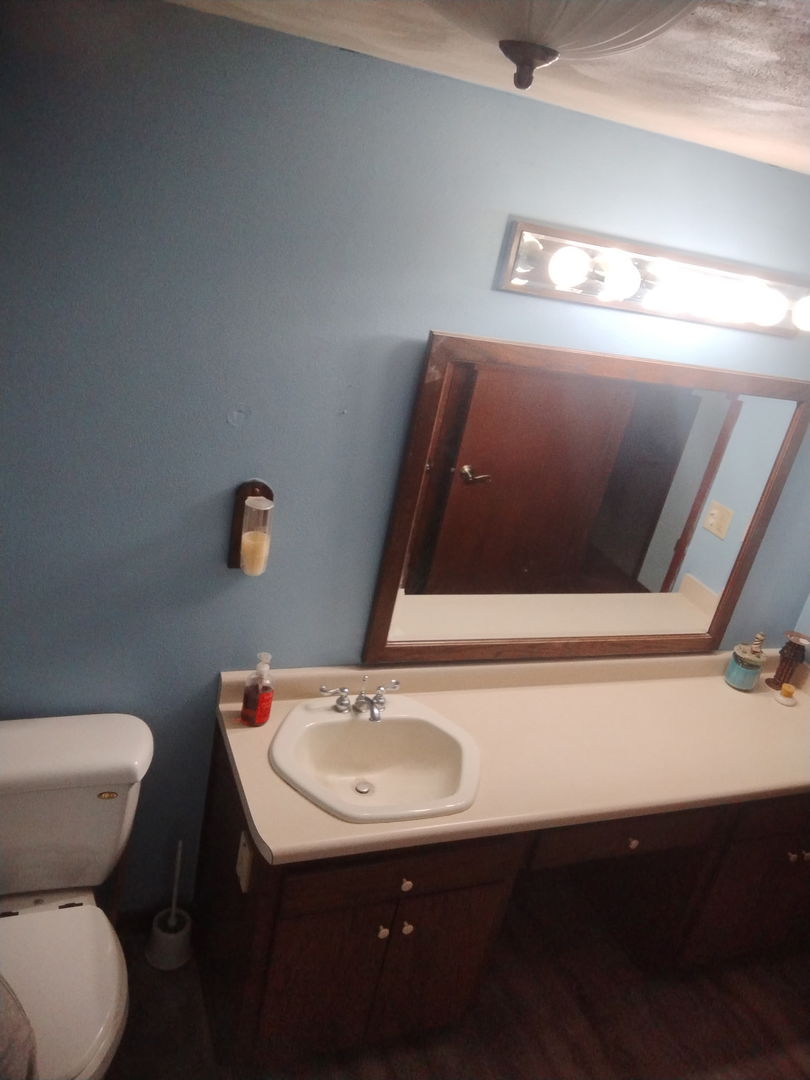 503 North Walnut Street Delavan, IL 61734 - Photo 26 of 32 a bathroom with a sink and a toilet