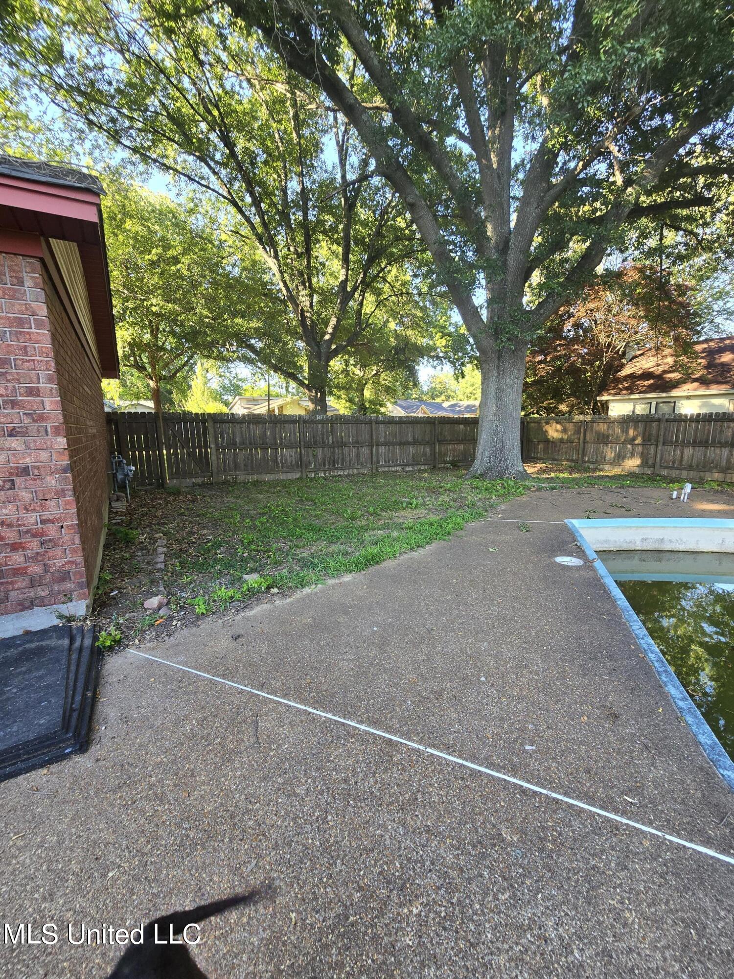 6861 River Birch Road Walls, MS 38680 - Photo 6 of 28 BACKYARD