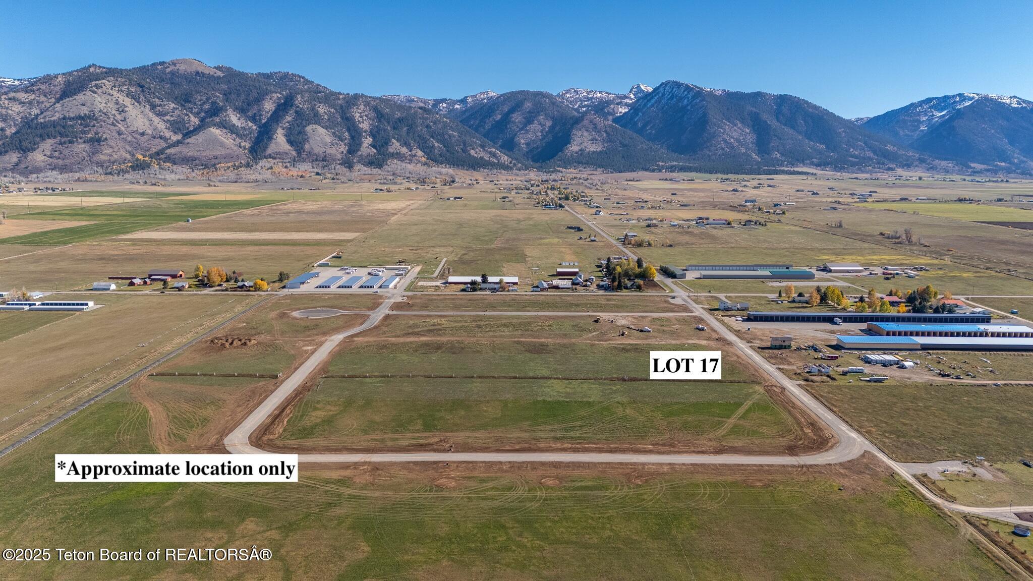 Lot 17