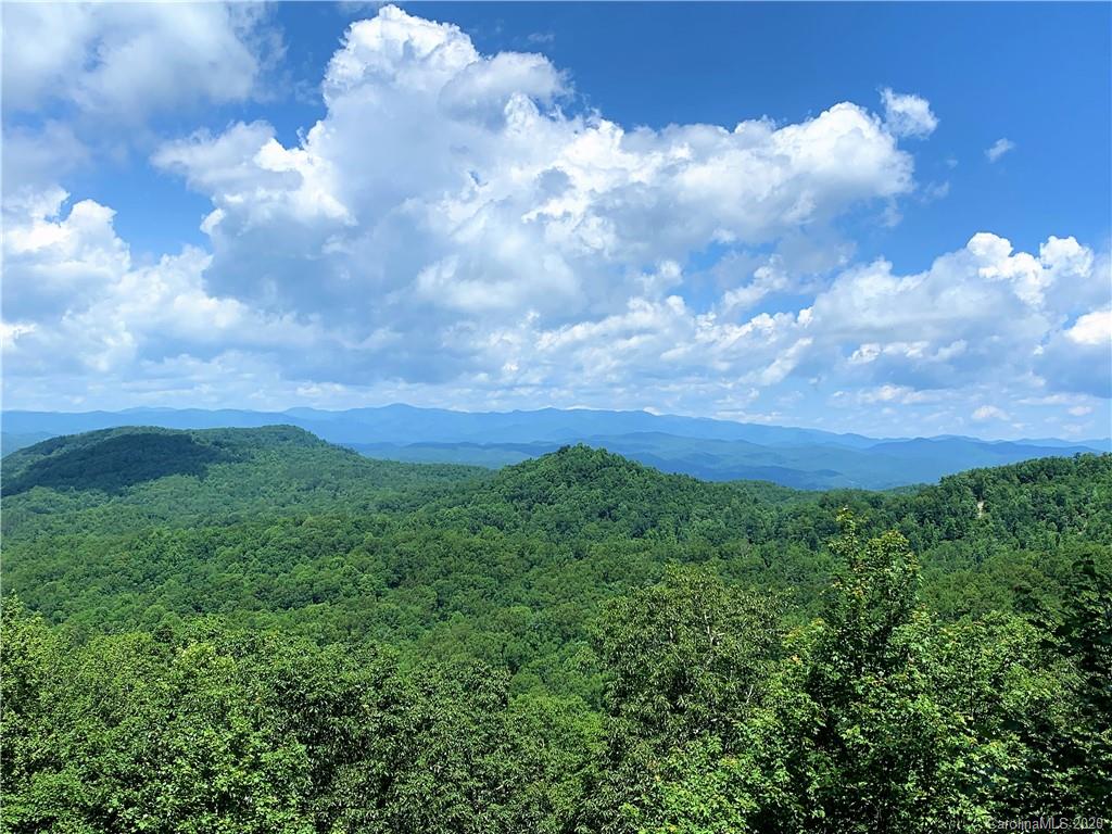 123 Antler Ridge Rosman, NC 28772 - Photo 1 of 5 a view of a big yard with lots of green space