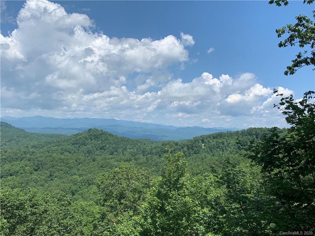 123 Antler Ridge Rosman, NC 28772 - Photo 3 of 5 a view of a big yard with lots of green space