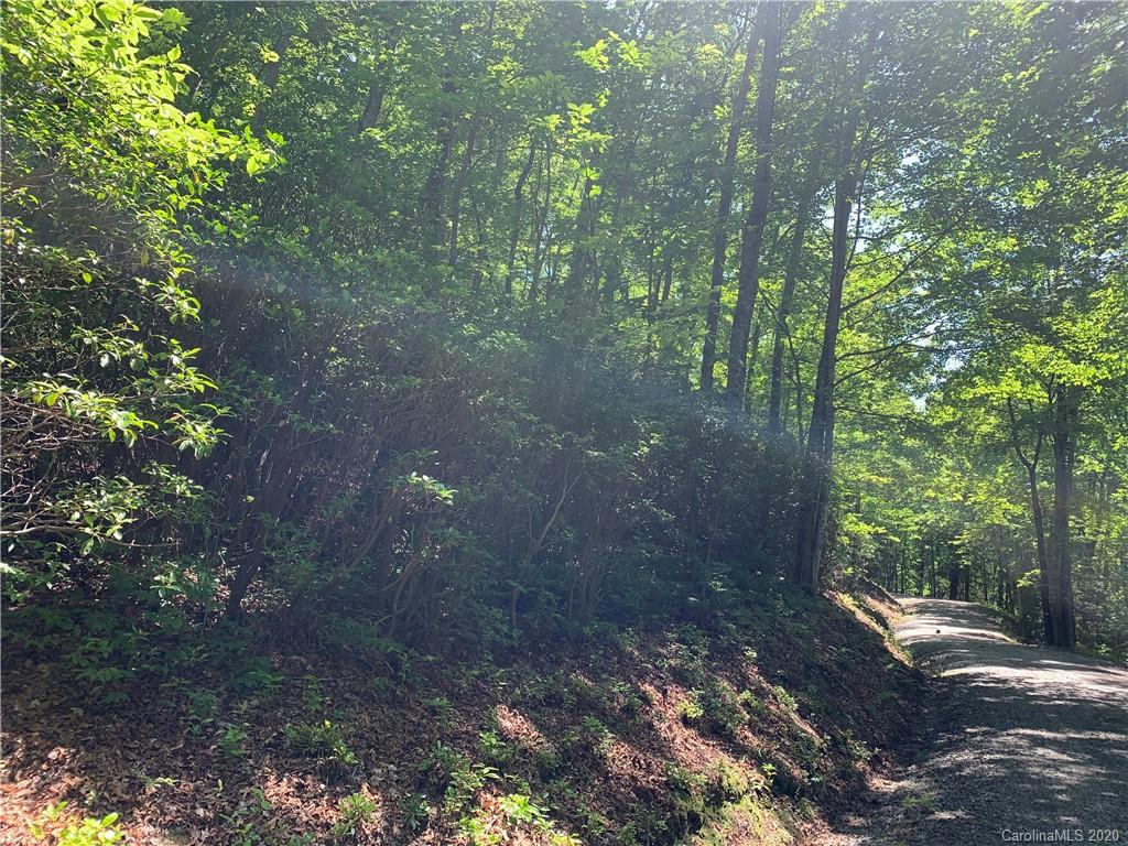 123 Antler Ridge Rosman, NC 28772 - Photo 5 of 5 a view of a forest