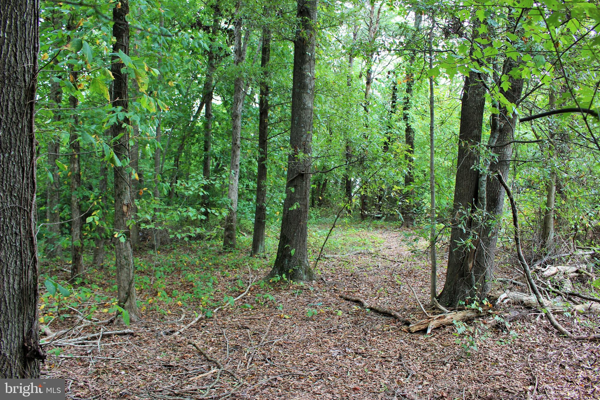 3 Notch Road Mechanicsville, MD 20659 - Photo 5 of 11 a view of outdoor space and green space