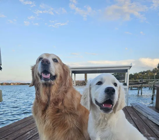 $1,495 | 3325 Kirkland Road Northeast, Palm Bay, FL 32905