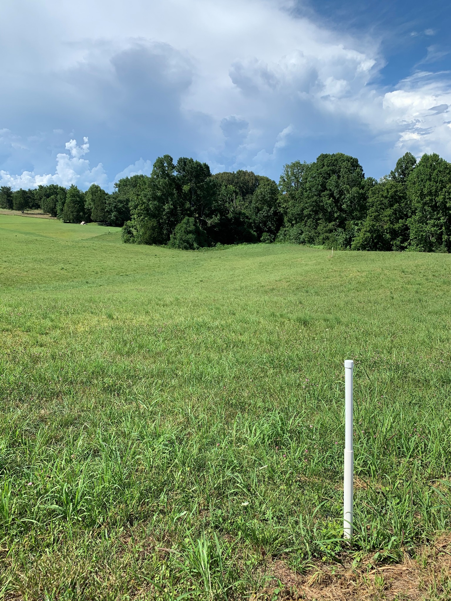 5960 Burgess Falls Road Sparta, TN 38583 - Photo 5 of 9 Gallery Image 5