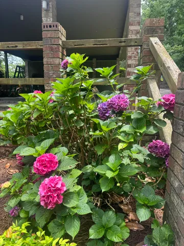 $549,000 | 216 Sheppard Drive, Edgefield, SC 29824