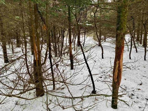 $541,500 | 900 South E County, Rensselaer, IN 47978