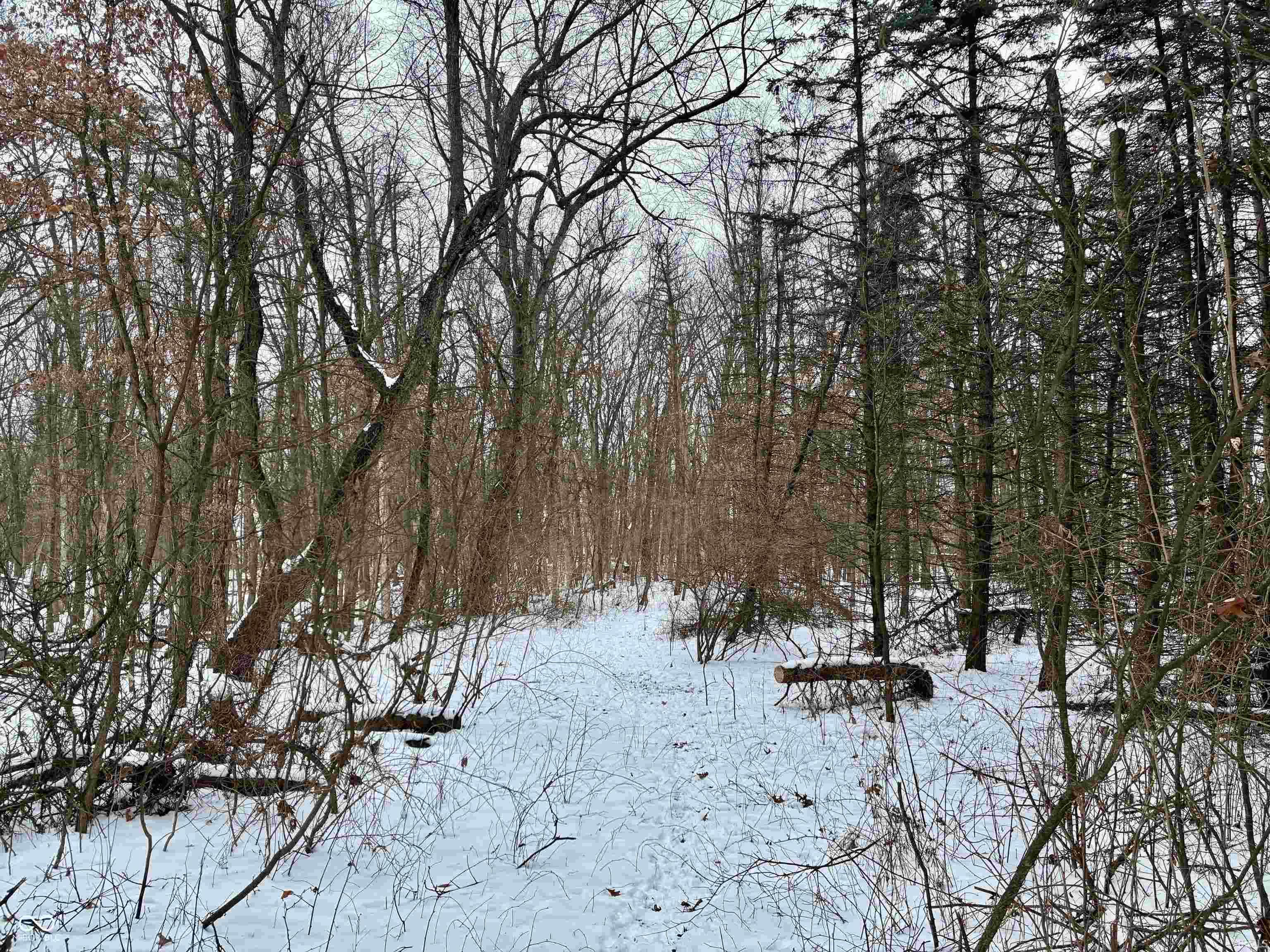 900 South E County Rensselaer, IN 47978 - Photo 15 of 16