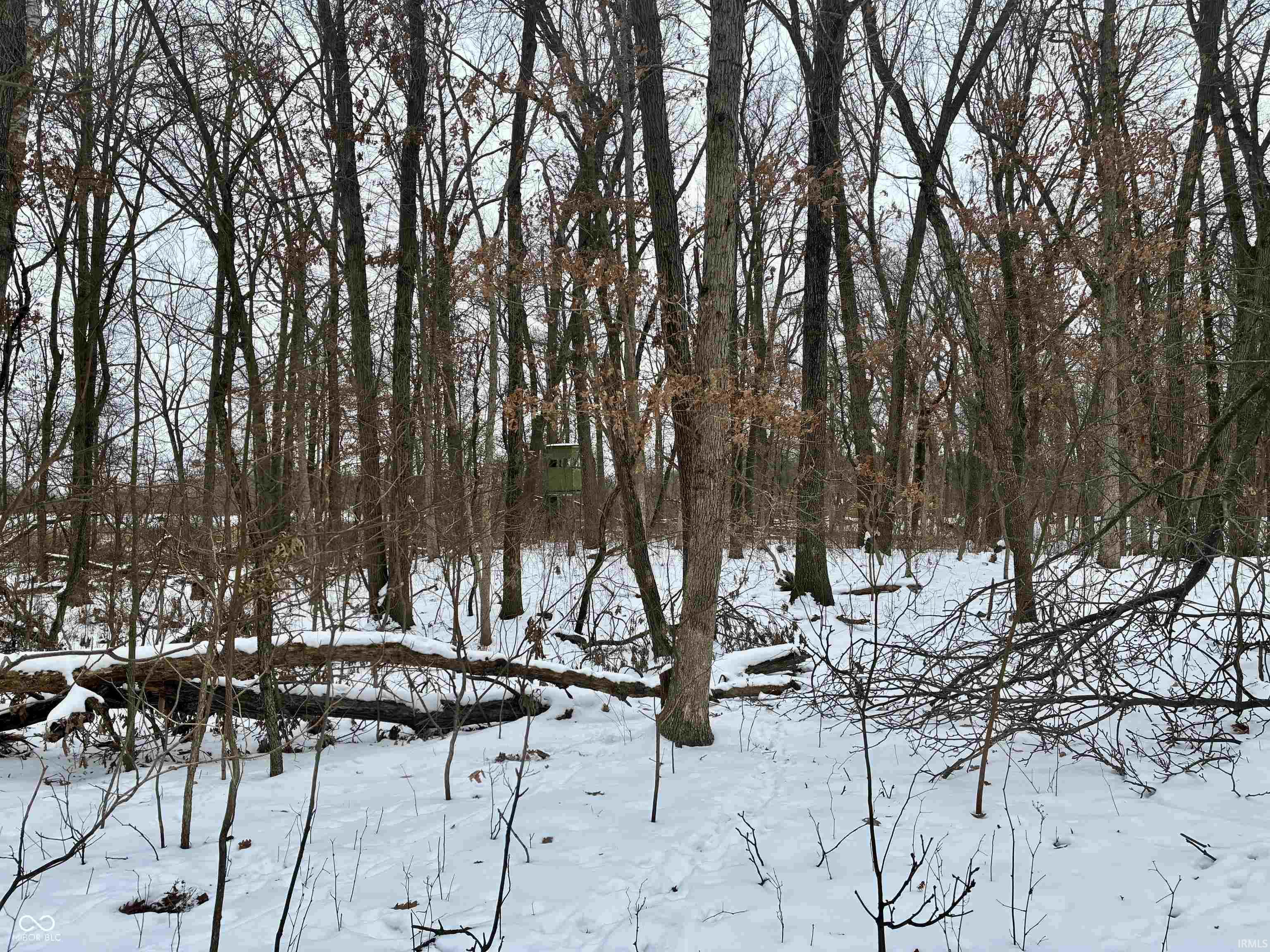 900 South E County Rensselaer, IN 47978 - Photo 2 of 16