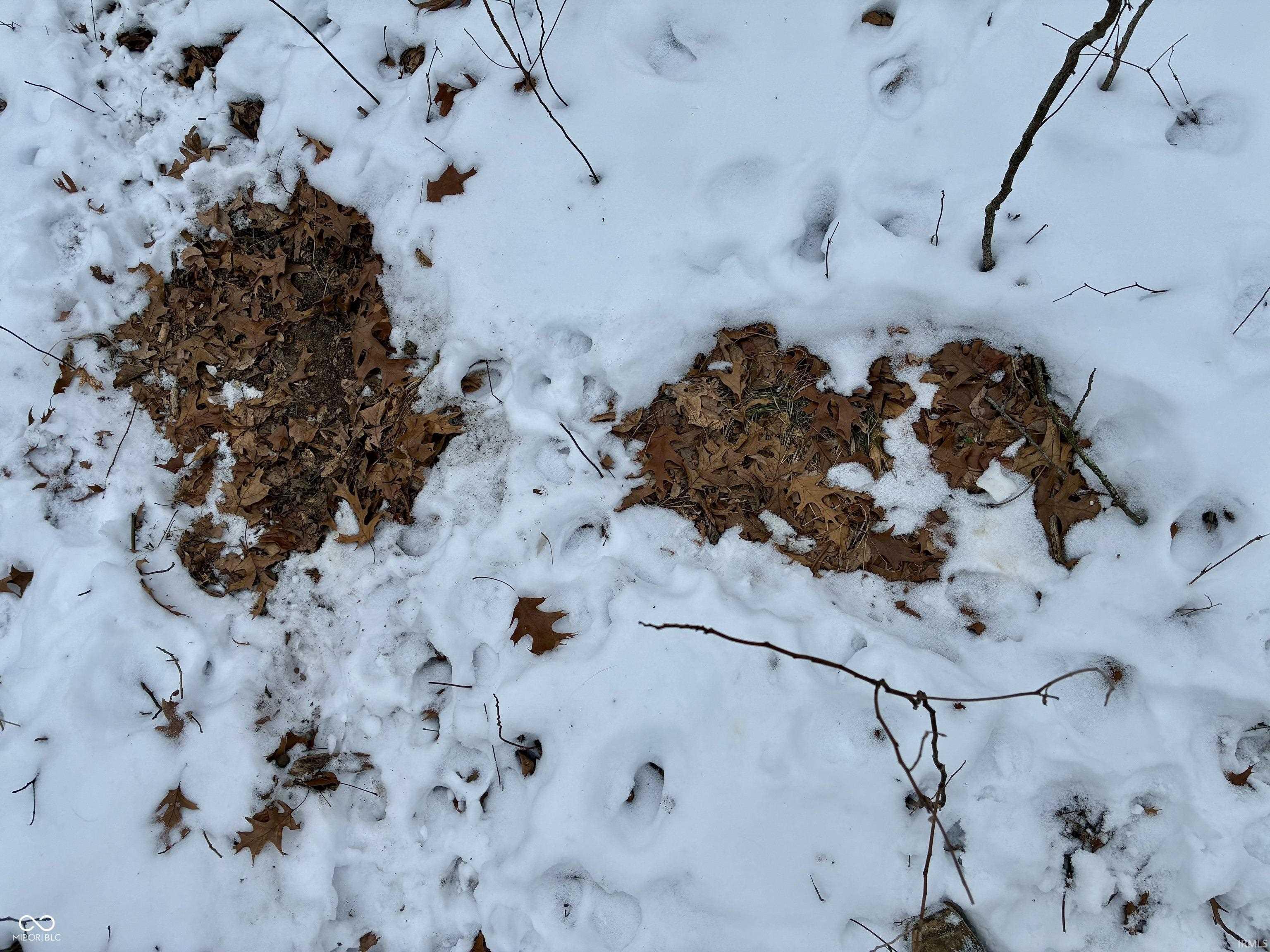 900 South E County Rensselaer, IN 47978 - Photo 9 of 16