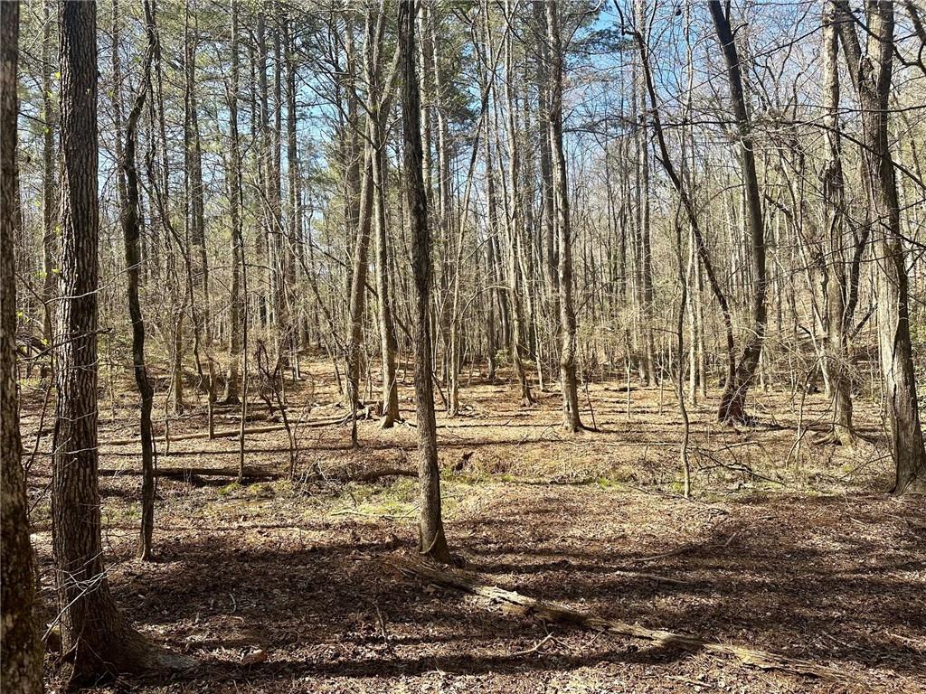 555 Larmon Forks Road Dahlonega, GA 30533 - Photo 2 of 10