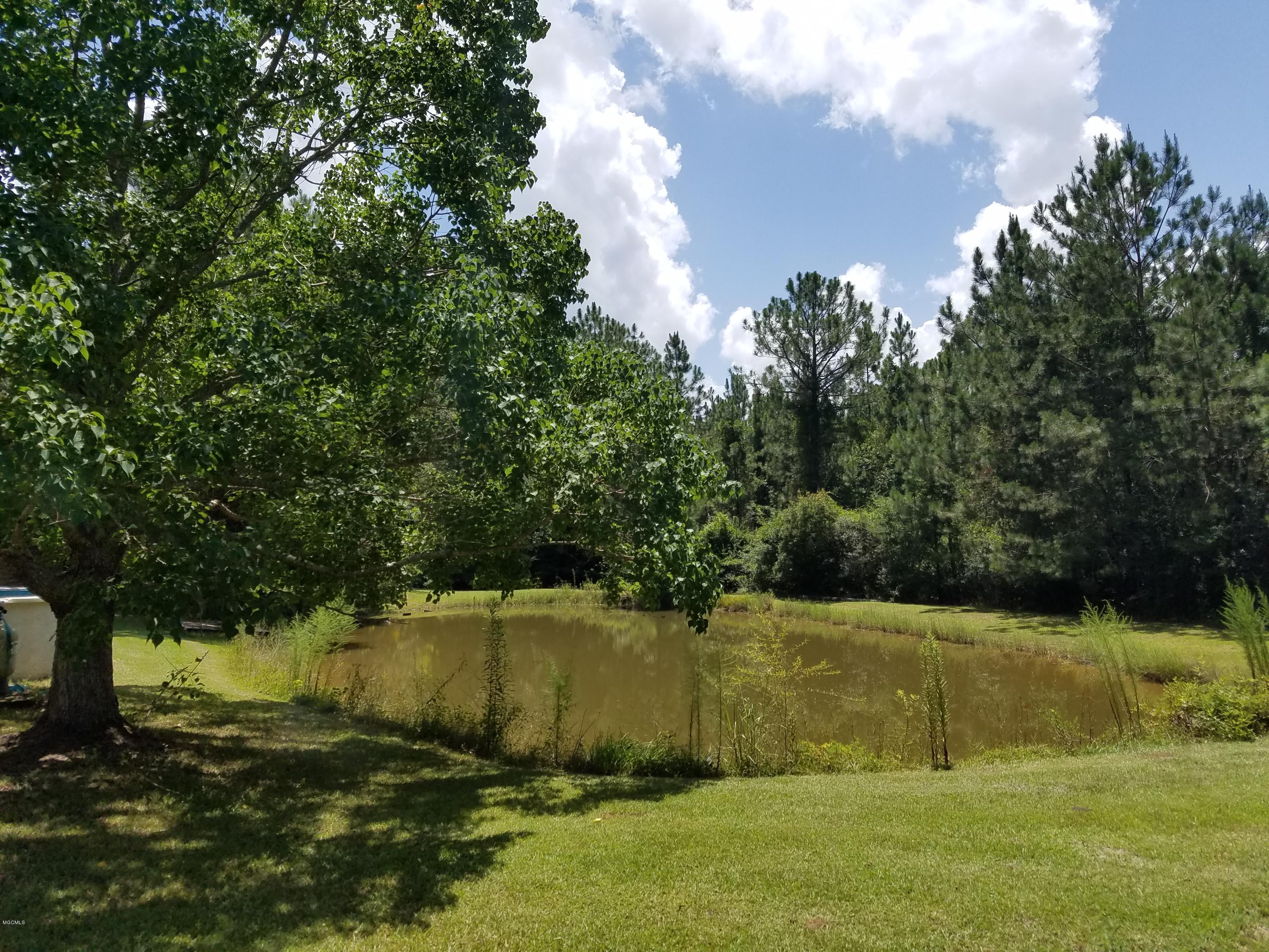 22241 Mayfield Road Gulfport, MS 39503 - Photo 43 of 46 Pond