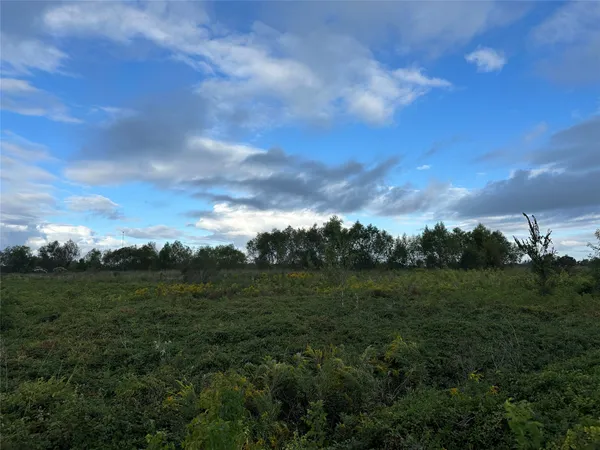 a view of a green field with lots of green space