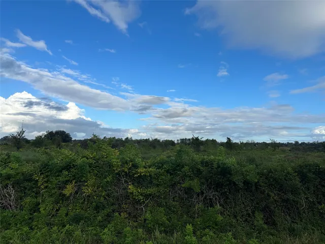 a view of a green field