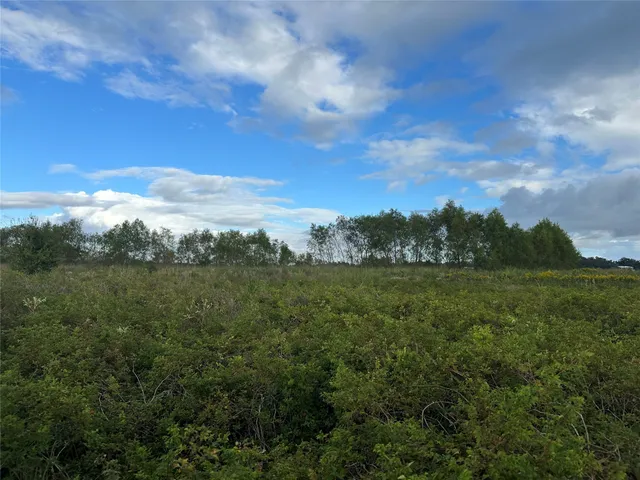 a view of a green field with lots of green space