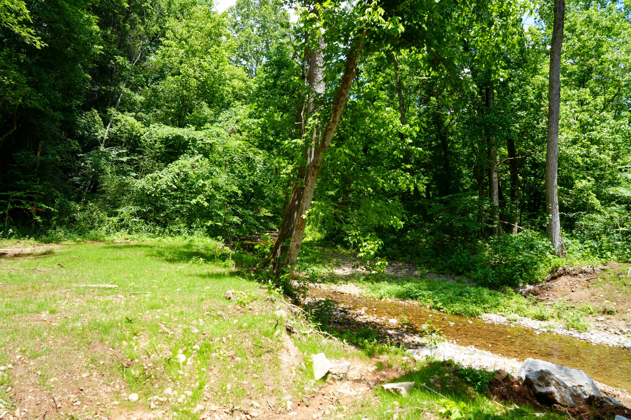 1 Budds Creek Road Palmyra, TN 37142 - Photo 21 of 76