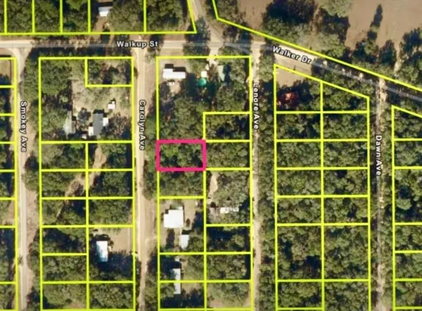 $9,000 | Carolyn Avenue, Interlachen, FL 32148