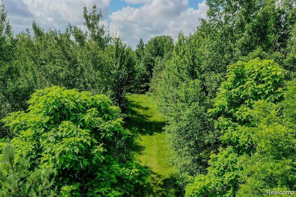 4441 West Willard Road Birch Run, MI 48415 - Photo 10 of 15 GetMedia (34).jpeg