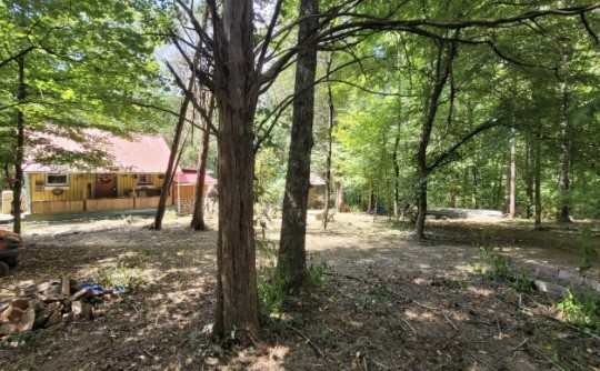 7992 Primm Springs Road Primm Springs, TN 38476 - Photo 2 of 31