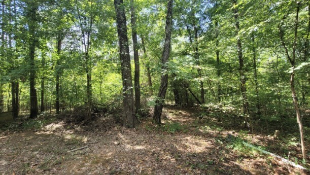 7992 Primm Springs Road Primm Springs, TN 38476 - Photo 25 of 31