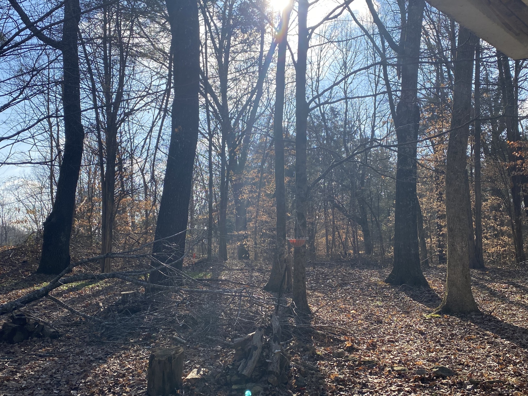 7992 Primm Springs Road Primm Springs, TN 38476 - Photo 26 of 31