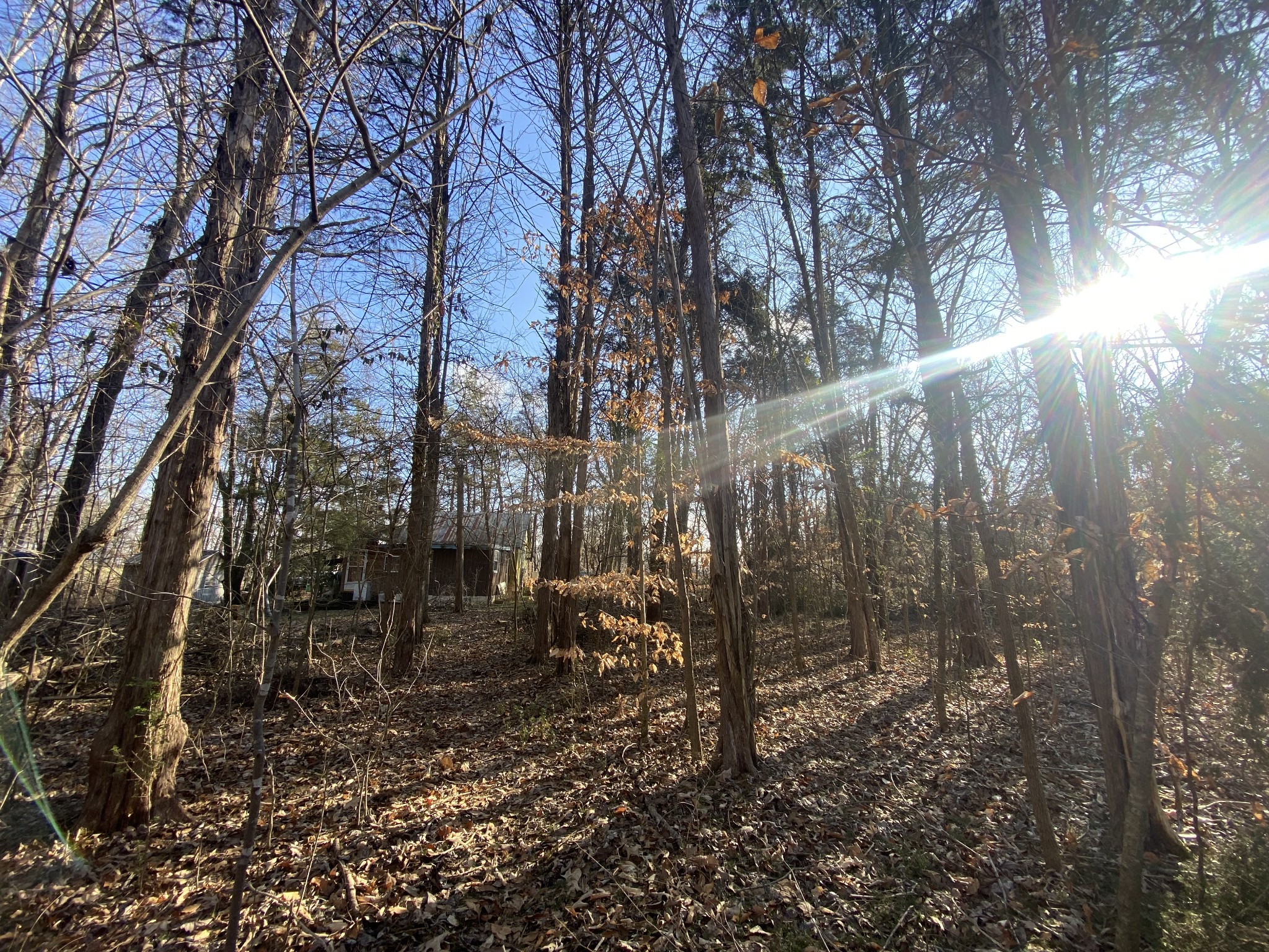 7992 Primm Springs Road Primm Springs, TN 38476 - Photo 27 of 31