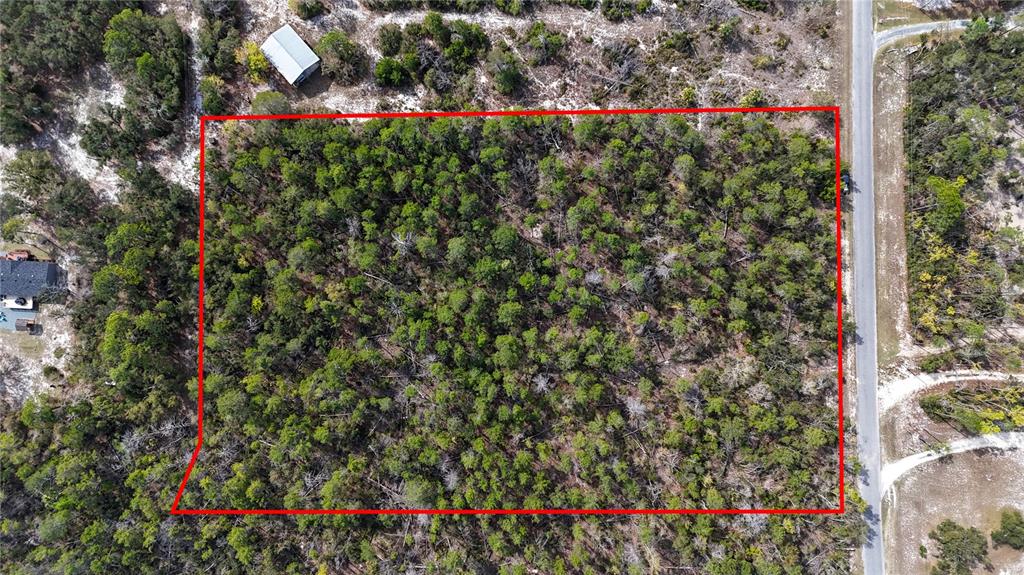Strickland Land Drive Perry, FL 32348 - Photo 1 of 6 a view of a outdoor space