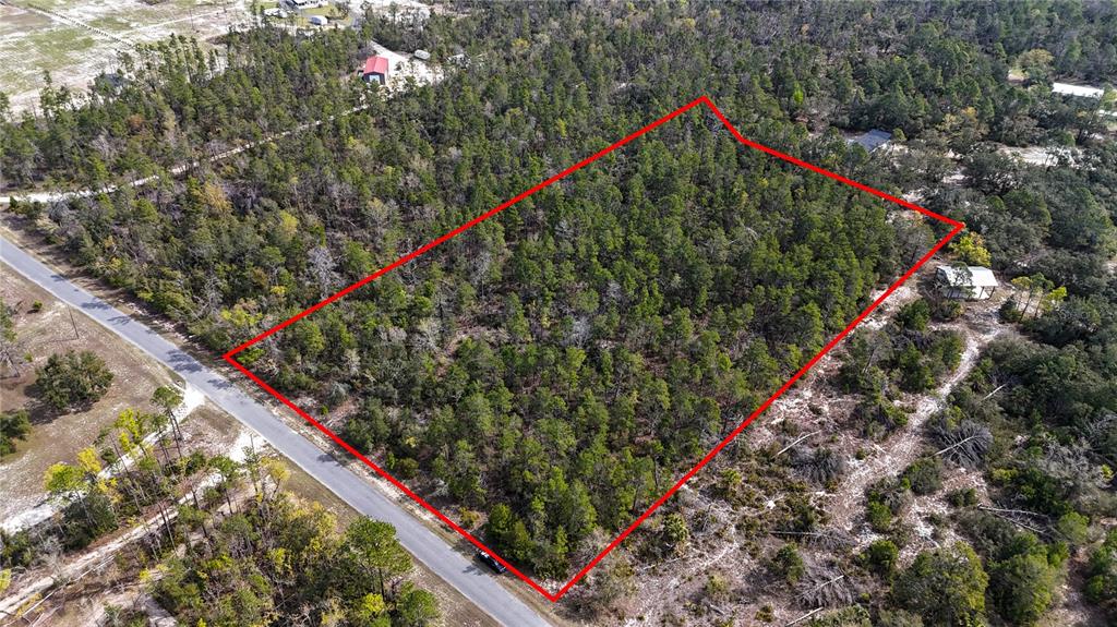 Strickland Land Drive Perry, FL 32348 - Photo 2 of 6