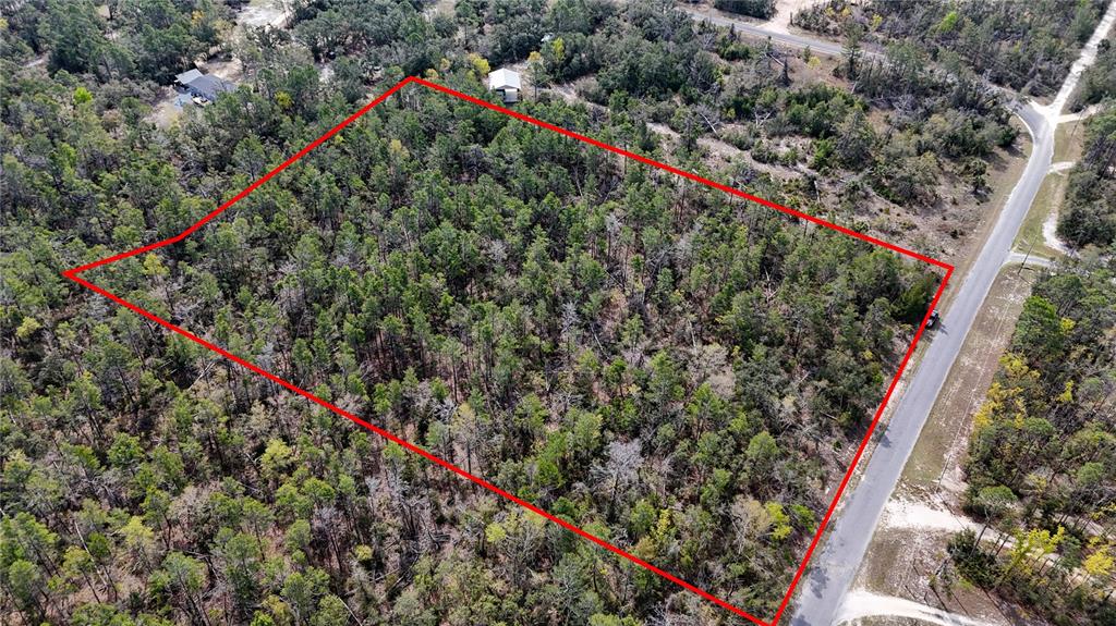 Strickland Land Drive Perry, FL 32348 - Photo 3 of 6