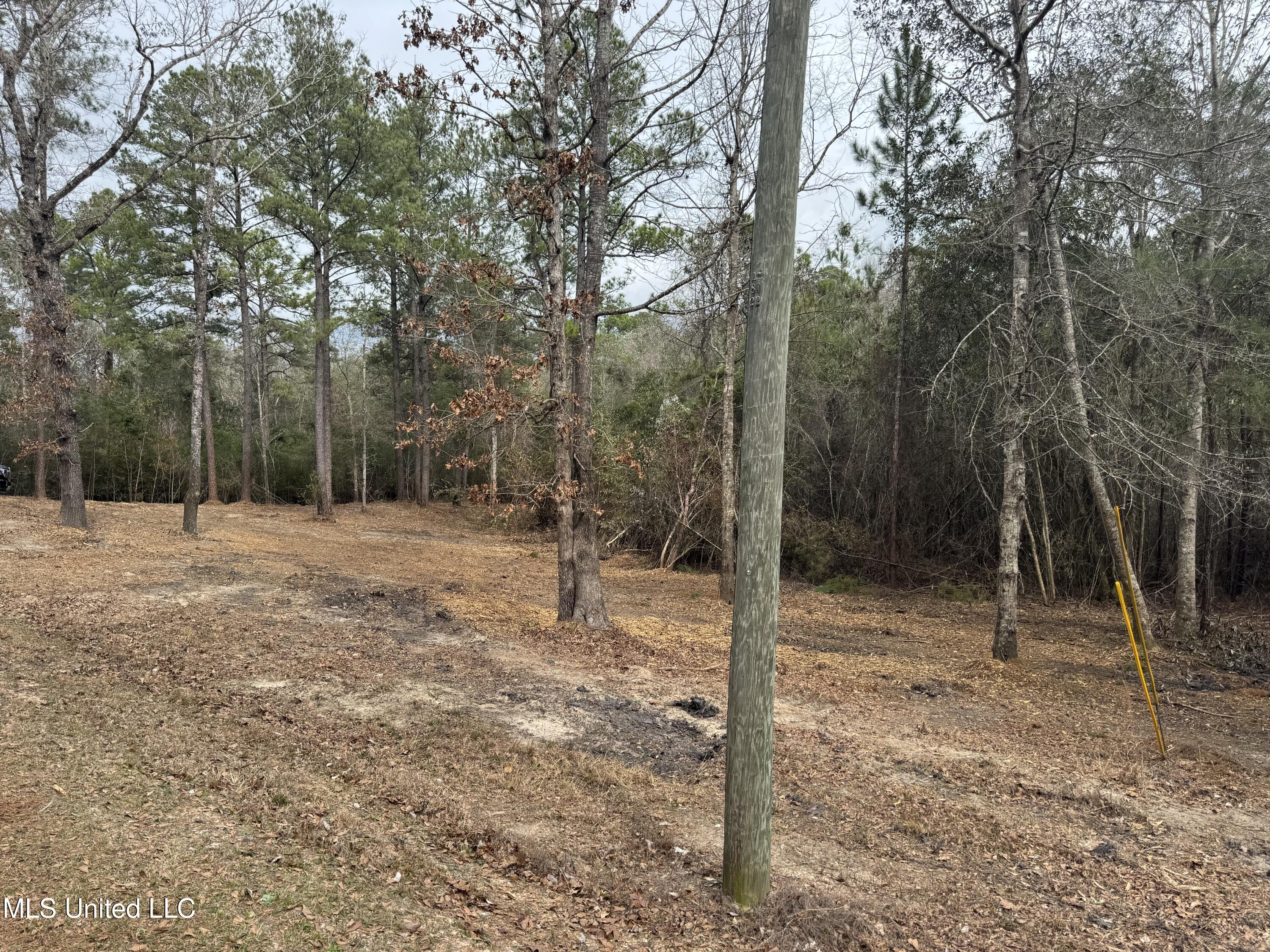 390 Farve Road Sumrall, MS 39482 - Photo 13 of 19 Photo Feb 11 2025, 12 59 32 PM
