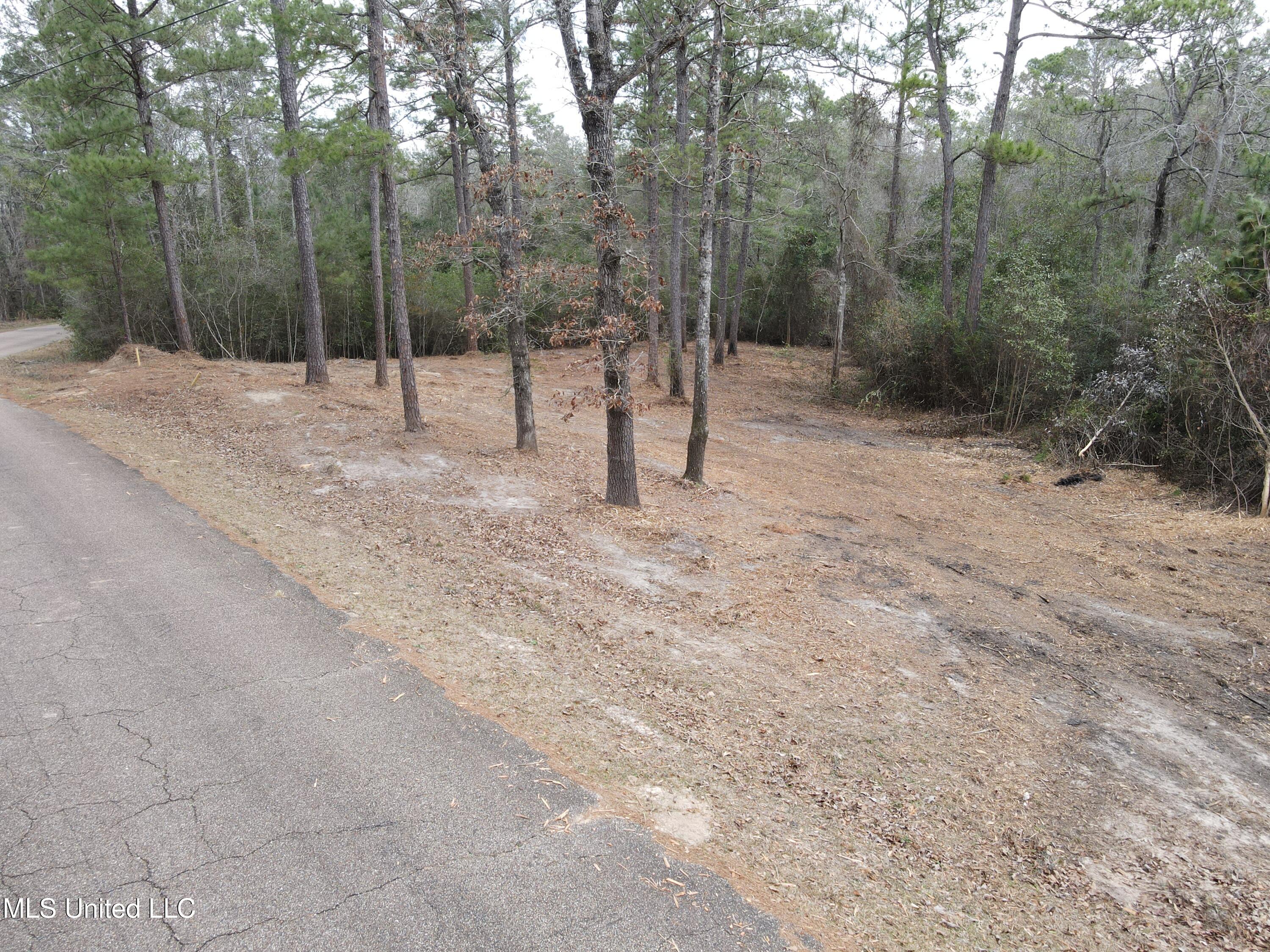 390 Farve Road Sumrall, MS 39482 - Photo 18 of 19 Photo Feb 11 2025, 1 19 37 PM