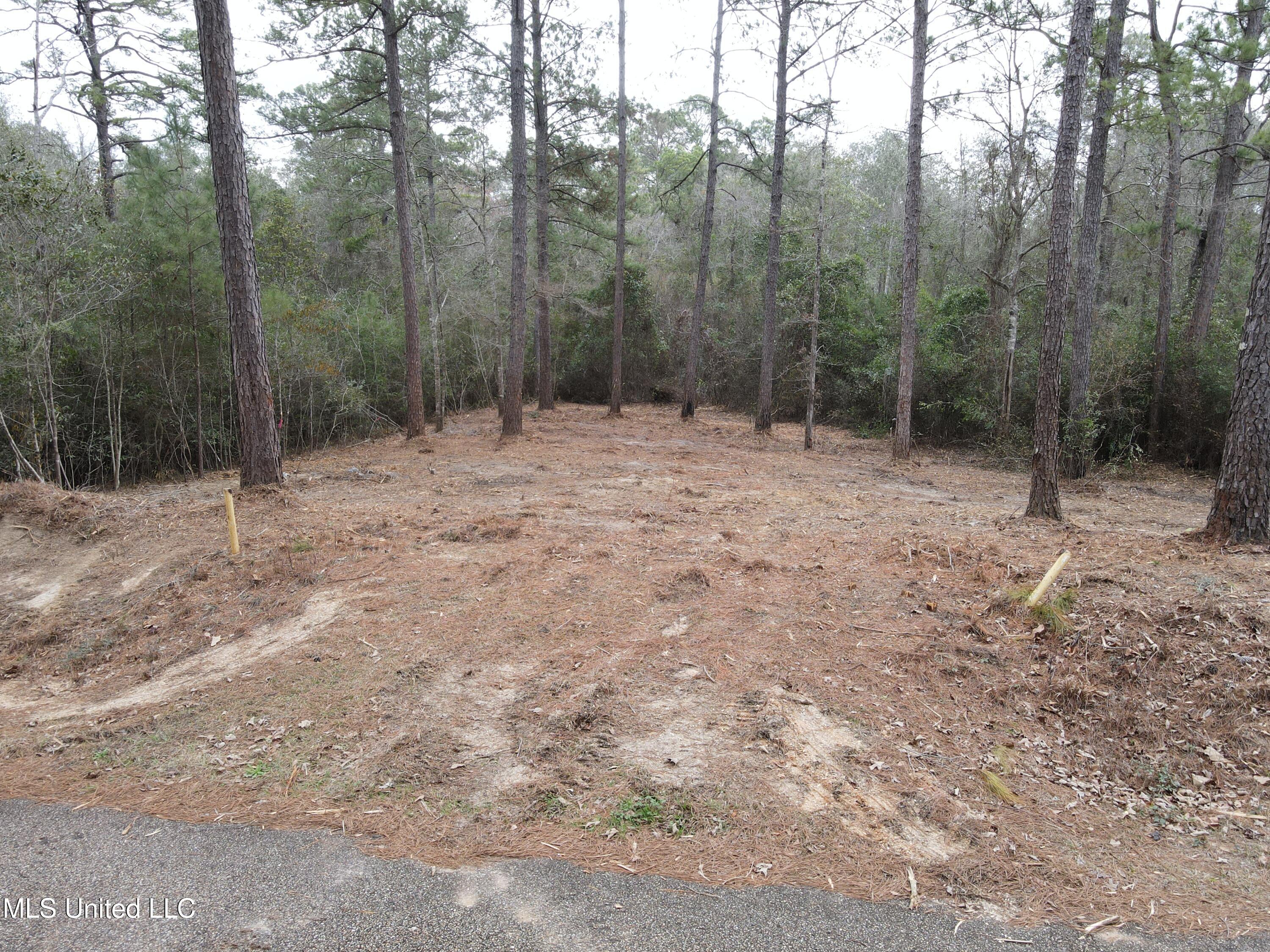 390 Farve Road Sumrall, MS 39482 - Photo 3 of 19 Photo Feb 11 2025, 1 21 03 PM