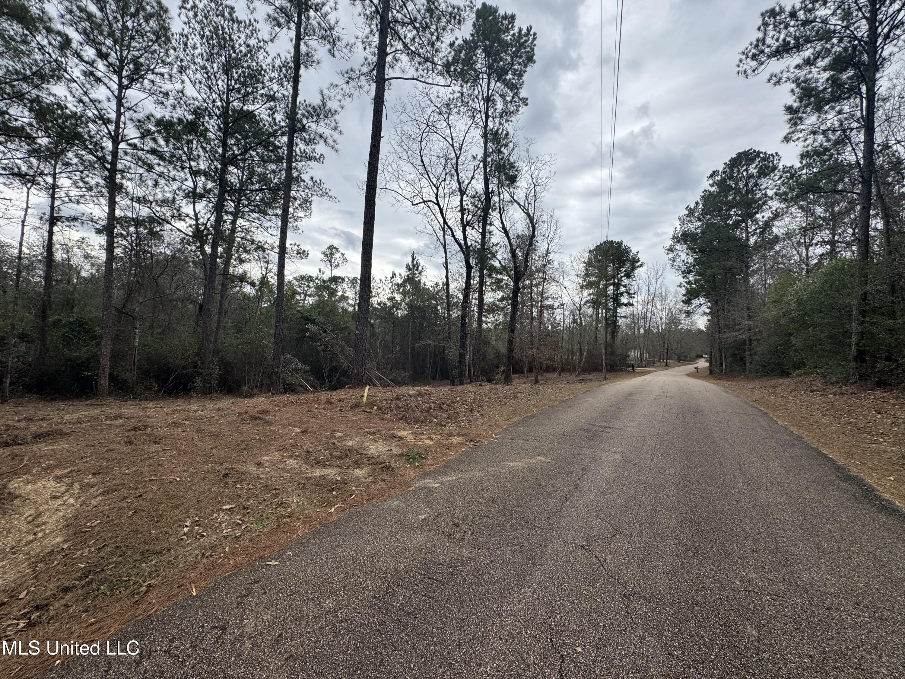 390 Farve Road Sumrall, MS 39482 - Photo 8 of 19 Photo Feb 11 2025, 1 27 39 PM