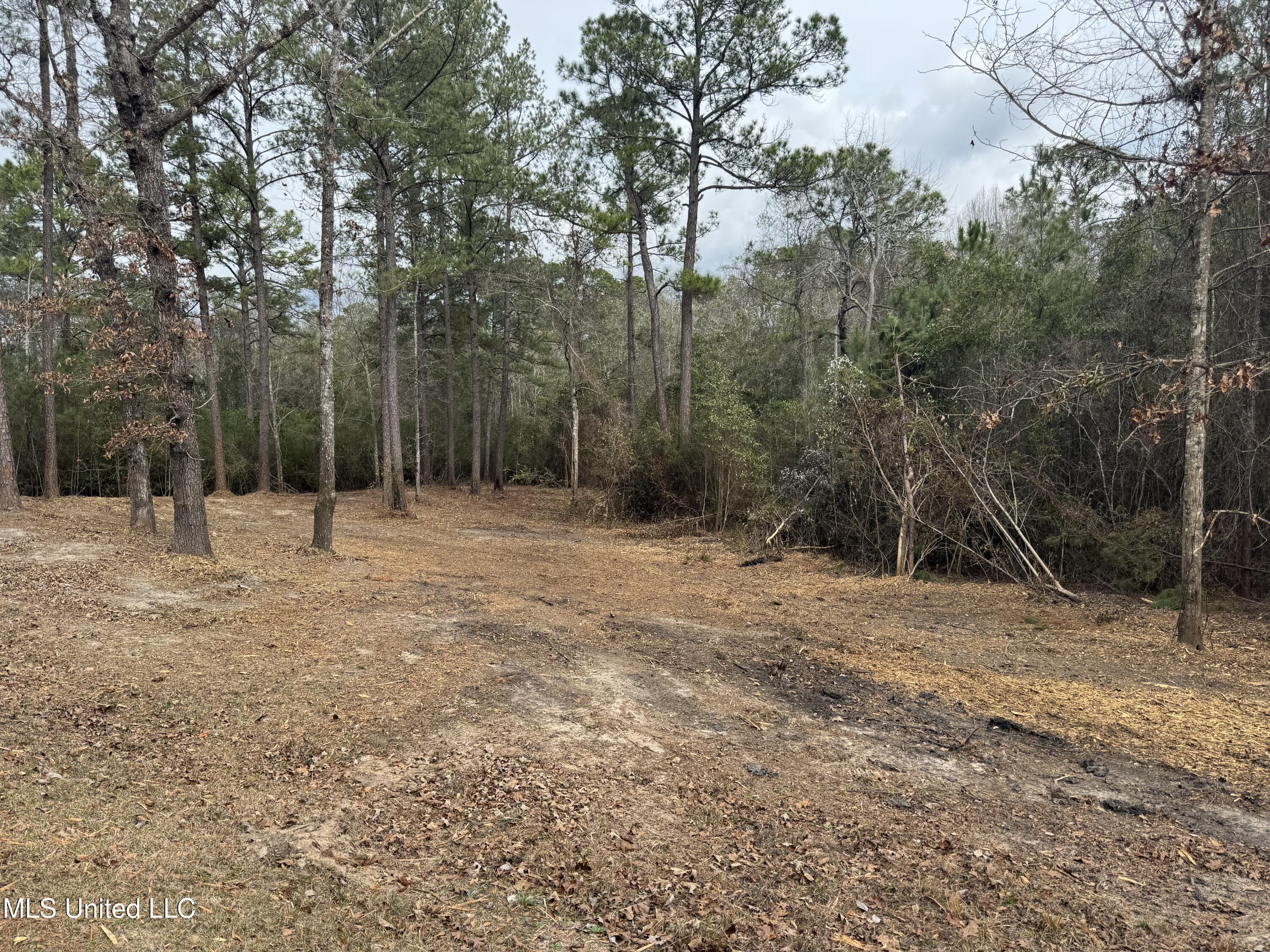 390 Farve Road Sumrall, MS 39482 - Photo 10 of 19 Photo Feb 11 2025, 12 59 08 PM