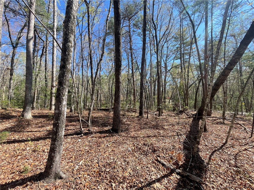 0 Mountain Rest Lake Road Mountain Rest, SC 29664 - Photo 14 of 18