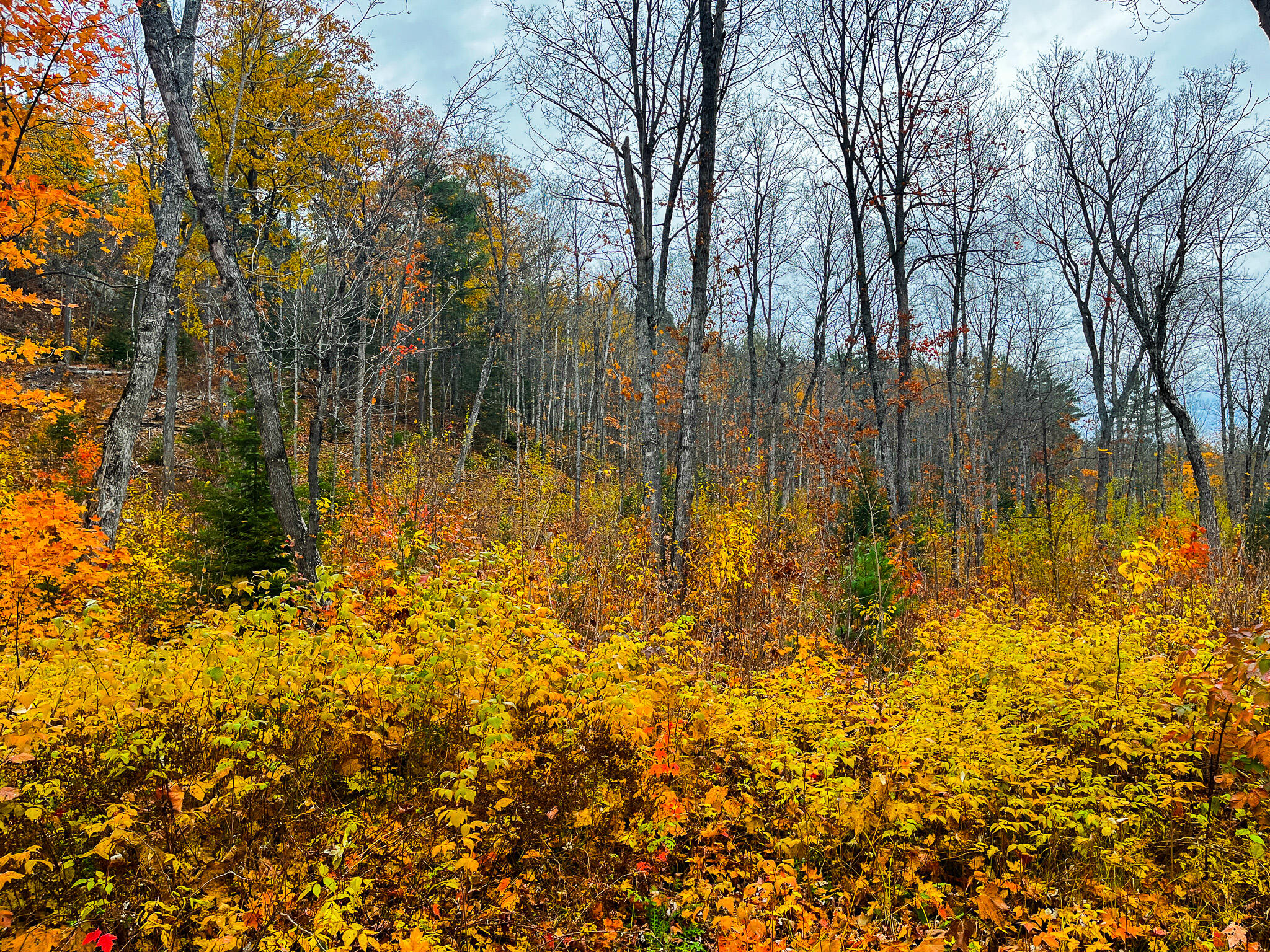 160 Red Road Ishpeming, MI 49849 - Photo 22 of 44 IMG_0909