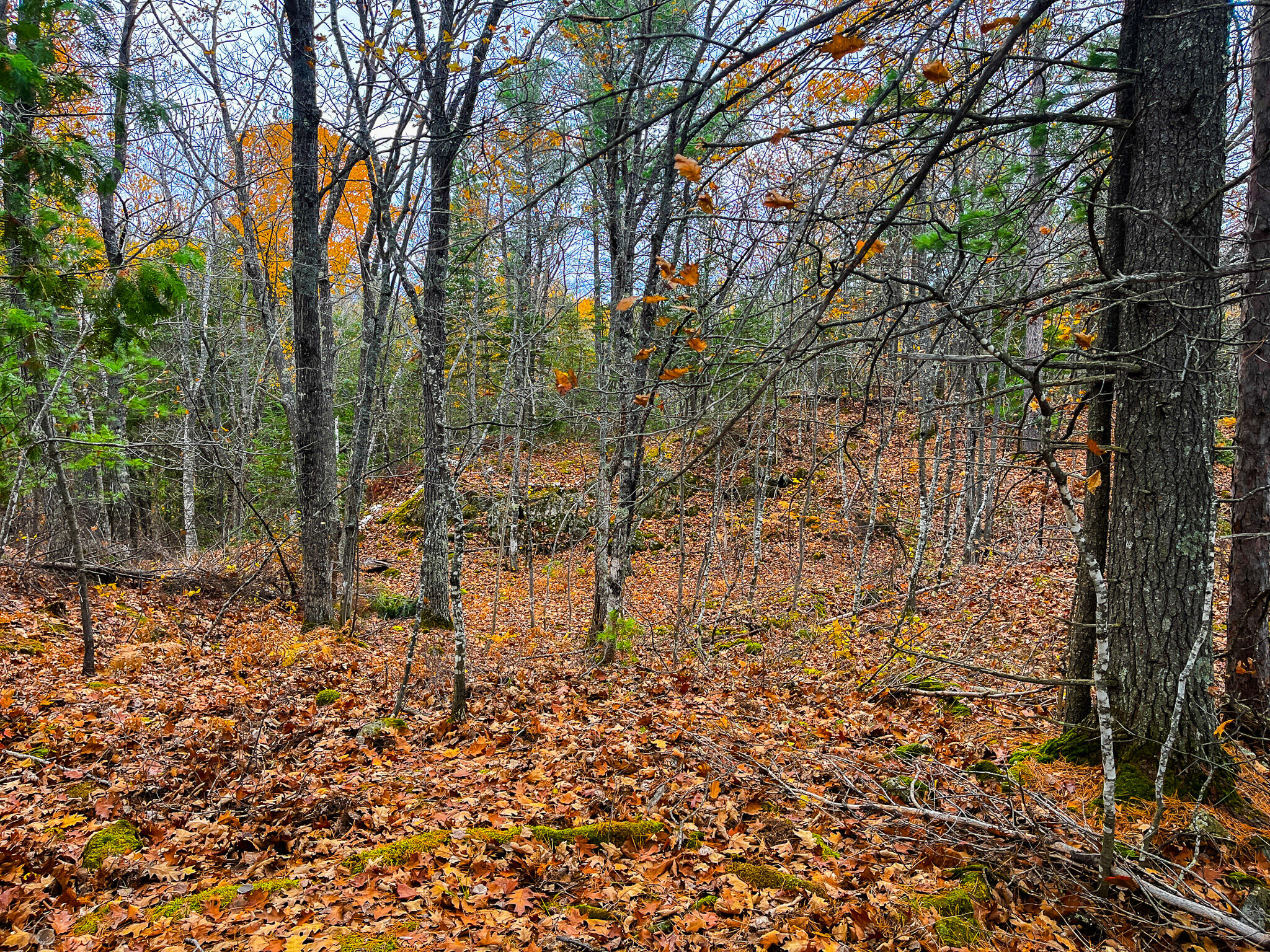 160 Red Road Ishpeming, MI 49849 - Photo 31 of 44 IMG_0921