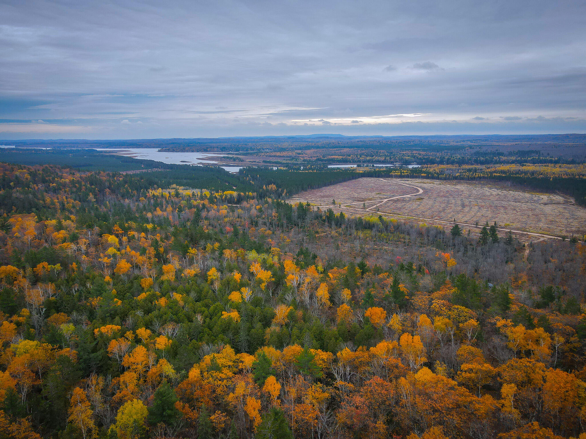 dji_fly_20231023_143544_11_1698086154014