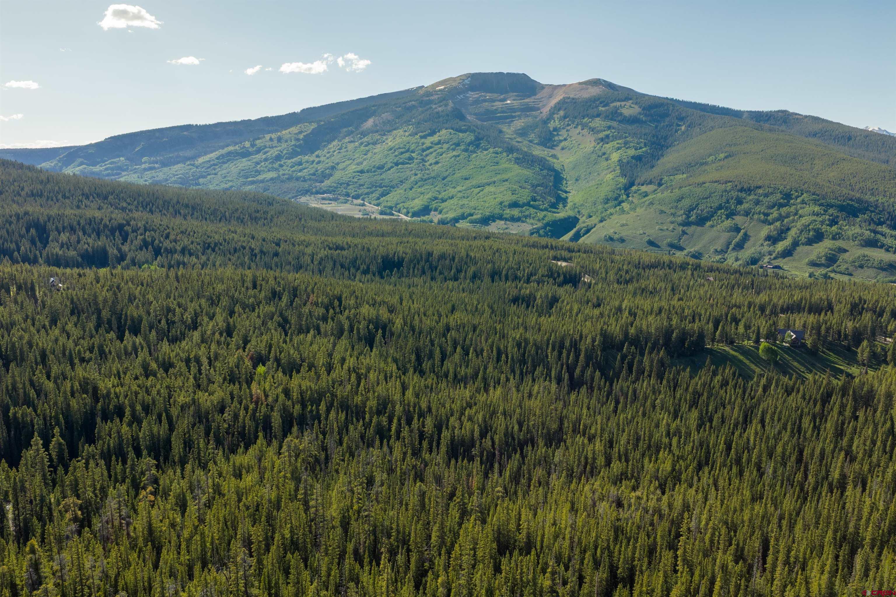 5350 Wildcat Trail Crested Butte, CO 81224 - Photo 16 of 20 a view of a lush green hillside and a mountain