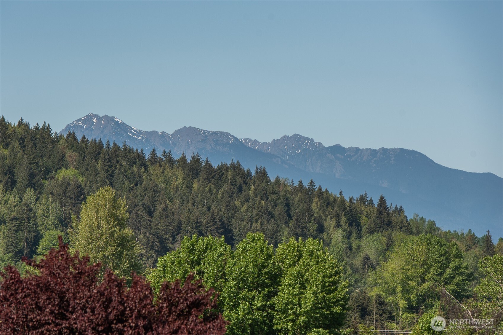 320 Morgison Loop Sequim, WA 98382 - Photo 3 of 40 Gallery Image 3
