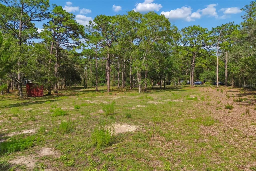Grove Road Brooksville, FL 34613 - Photo 17 of 26
