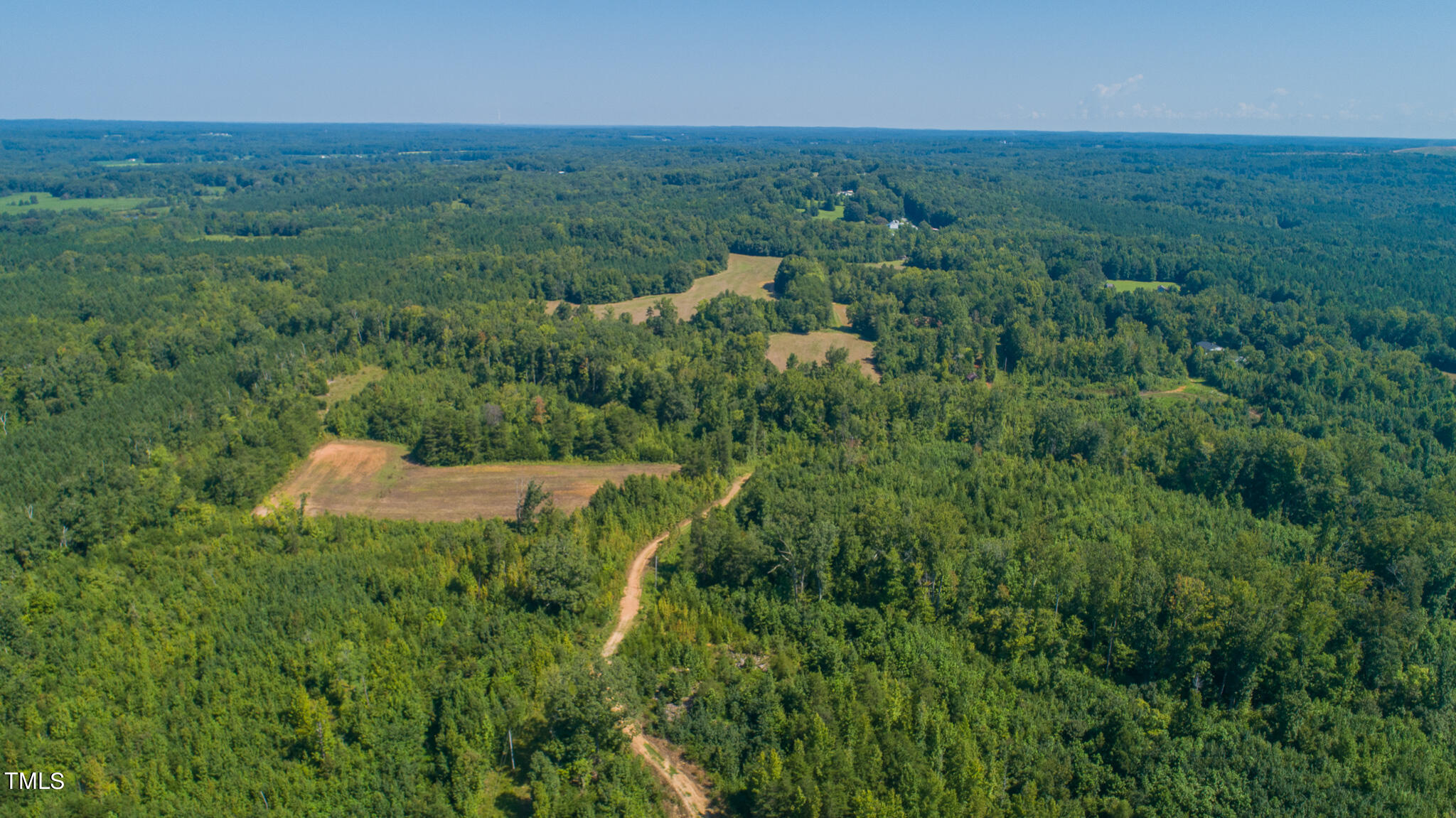 121-acres Medford Oakley Road Rougemont, NC 27572 - Photo 1 of 14 DJI_0283