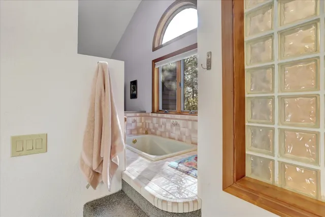 a view of a backyard with plants and a large tree