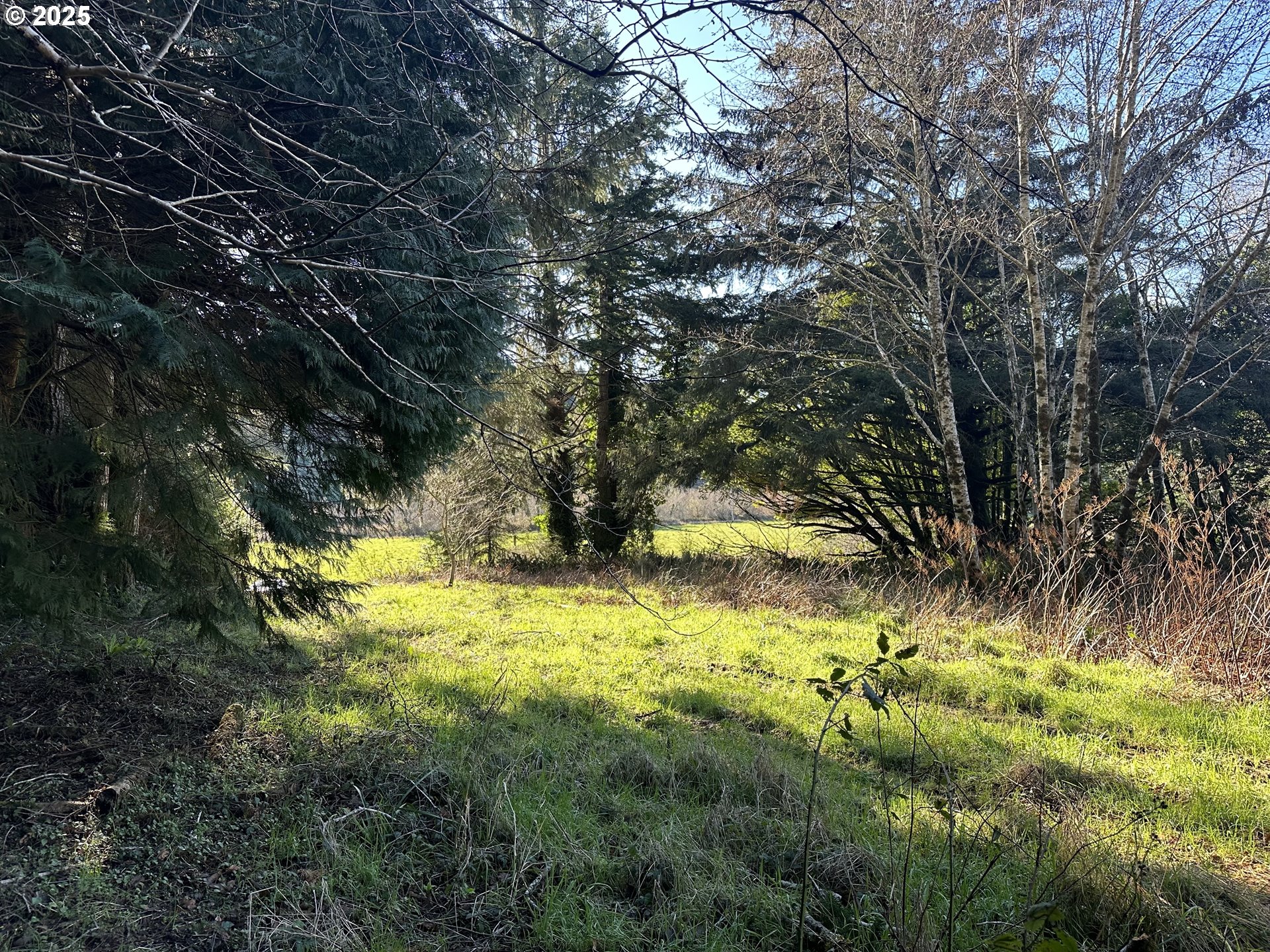 Sixes River Road Sixes, OR 97476 - Photo 2 of 9