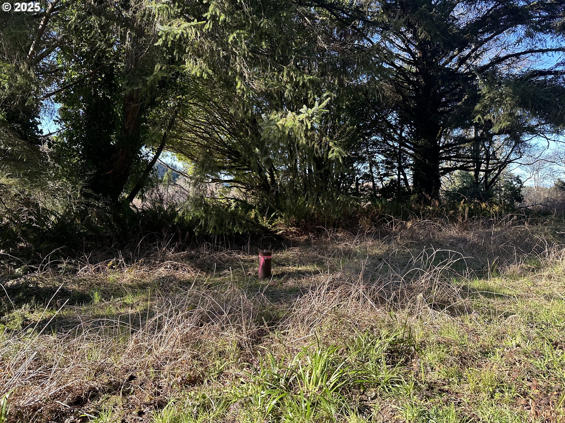 Sixes River Road Sixes, OR 97476 - Photo 3 of 9