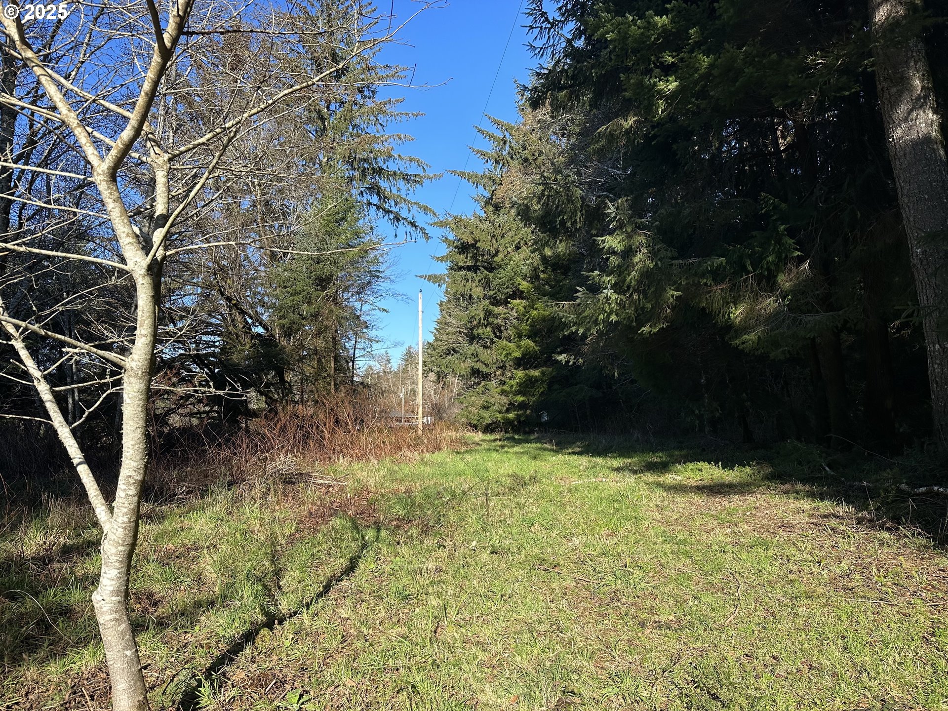 Sixes River Road Sixes, OR 97476 - Photo 4 of 9