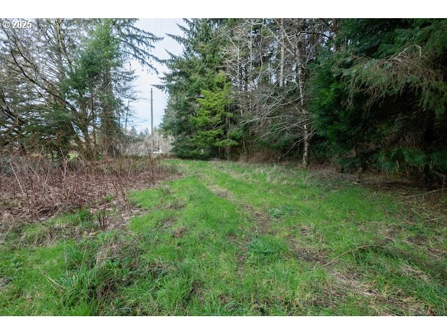 Sixes River Road Sixes, OR 97476 - Photo 7 of 9