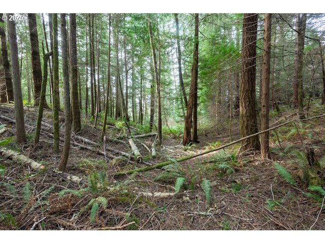 Sixes River Road Sixes, OR 97476 - Photo 8 of 9